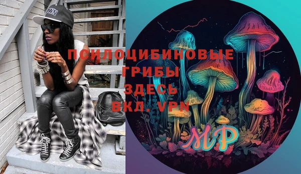 тгк Баксан